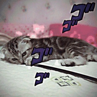 和此卖家交流，自觉七经八脉为之一畅，我在淘宝买了这么多年，所谓看过"女干"商无数，但与卖家您交流，我只想说，老板你实在是太好了。 你的高尚情操太让人感动了。本人对此卖家之仰慕如滔滔江水连绵不绝，海枯石烂，天崩地裂，永不变心。交易成功后，我的心情竟是久久不能平静。自古英雄出少年，卖家年纪轻轻，就有经天纬地之才，定国安邦之智，而今，天佑我大中华，沧海桑田5000年，神州平地一声雷，飞沙走石，大雾迷天，朦胧中，只见顶天立地一金甲天神立于天地间，花见花开，人见人爱，这人英雄手持双斧，二目如电，一斧下去，混沌初开，二斧下去，女娲造人，三斧下去，小生倾倒。得此大英雄，实乃国之幸也，民之福，人之初也，怎不叫人喜极而泣 .......看着交易成功，我竟产生出一种无以名之的悲痛感&mdash;&mdash;啊，这么好的卖家，如果将来我再也遇不到了，那我该怎么办？直到我毫不犹豫地把卖家的店收藏了，我内心的那种激动才逐渐平静下来。可是我立刻想到，这么好的卖家，倘若别人看不到，那么不是浪费心血吗？经过痛苦的思想斗争，我终于下定决心，牺牲小我，奉献大我。我要以此评价奉献给世人赏阅，我要给好评&hellip;&hellip;