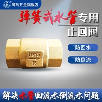 Check valve check valve vertical all copper water pipe water heater spring anti-backflow anti-return Anti-return inner wire check valve 46 points
