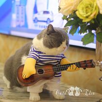 Pet cat cat dog guitarist transformation funny take guitar costume funny play guitar clothes Teddy