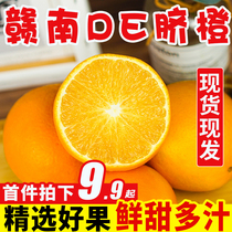 Jiangxi Gannan navel orange fresh 9kg Gannan water jelly sweet orange rock sugar summer orange whole Box big fruit 10