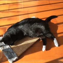 Mega Widening Cat Grinding Claw Liver Sisal Cat Grabbing Cricket Cat Toy Sends Cat Mint National 21 Province