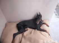 Ruijia recommends summer canvas dog mat single-layer sturdy kennel with inner bag can be customized size Jiangsu Zhejiang and Shanghai