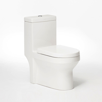 Kohlers Kali Megsai 3 6-liter siphon with slow-down cover toilet 12499T 12569T