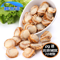 Beijing flash scallop meat fresh scallops fresh freshly peeled scallop meat frozen scallop meat sea spot 500g