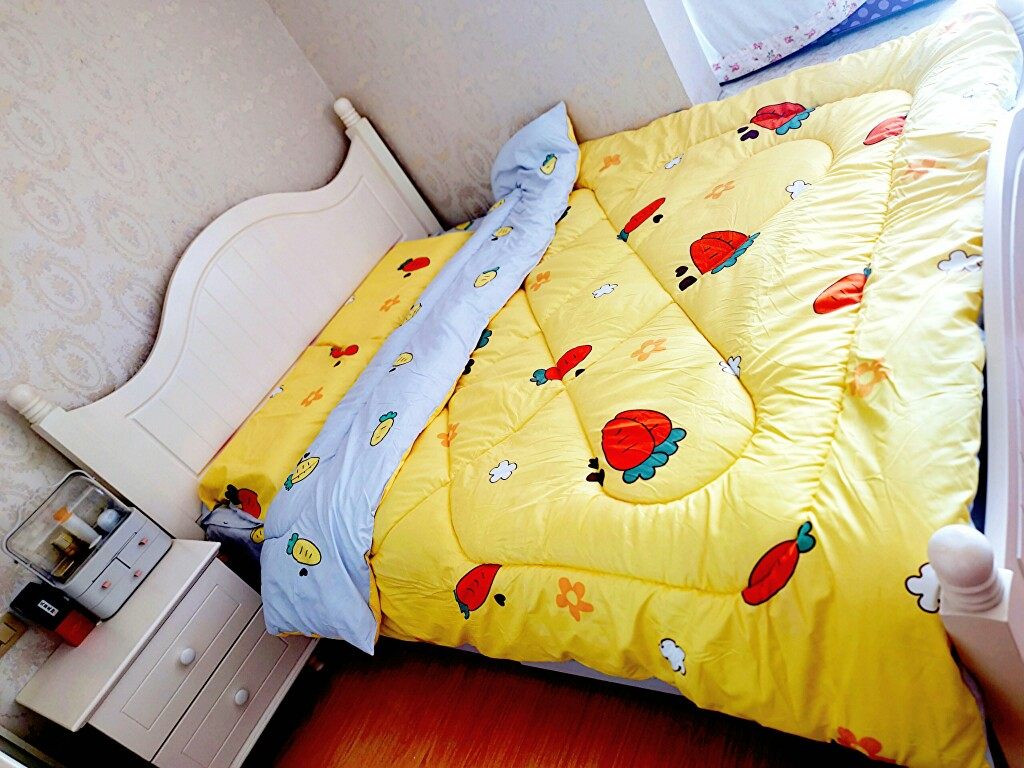 冬被200x230秋天被子学生宿舍用一米五被芯四件套棉被褥空调被厚