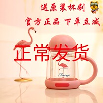 Cup bear double layer with handle business glass with tea leakage high temperature and explosion-proof summer girl water cup