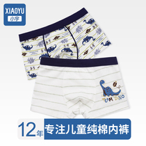 Childrens cotton underwear boys cotton flat Horn Middle big boy shorts head 10 children Boy 12 baby four horns 100%