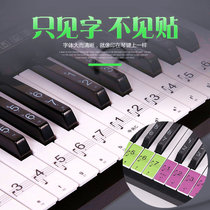 Piano Keyboard Sticker 88 Key Colour Transparent 61 Electronic violinist Hand Roll Five-line Spectral Key Sound Label Key Place stickup