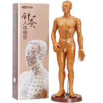 Chinese medicine acupuncture point human model human medical art Meridian teaching small man whole body acupuncture dummy practice
