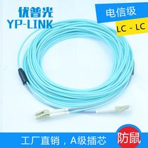 Anti-rat armored fiber pigtail LC-LC 3 meters 5 meters 10 meters 20 meters 50 meters multi-mode 10 million megaom3 optical fiber jumper