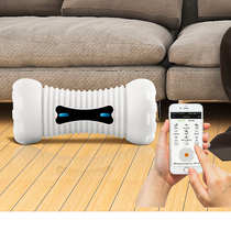 Smart pet dog dog toy resistant to biting molars puppies sound Teddy Corky playing with small dogs