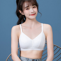 High School students underwear development period girl bra 17 years old summer thin stereotype anti-sagging expansion 16 girls 18