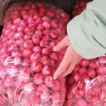 (Regular hair) 3kg fresh cherry radish mini round small radish small carrot small carrot eat raw Western salad