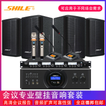 Lion music professional audio set conference room power amplifier shop wall-mounted speaker background music OK-555B BX-501