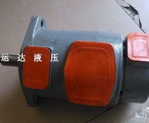 Injection molding machine hydraulic pump high pressure vane pump SQP21-21-11-86
