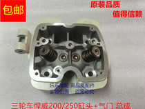 Jiangsu Zongshen Hanwei 175 200 250 300 Cylinder head assembly Hanwei water-cooled engine cylinder head valve