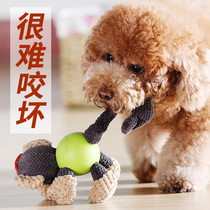 Dog toy puppy molars bite resistant voice Teddy Corky puppy toy ball relief artifact pet supplies