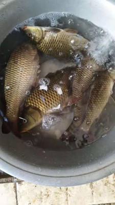 目前看来威联盟鱼竿质量怎么样,好不好用?是不是杂牌的鱼竿?