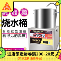 Boiling water bucket Automatic constant temperature commercial poultry hair removal machine Special chicken duck goose boiling water Hot hair plucking hot water bucket