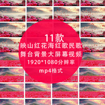 Yingshan Red Flower Sea Red Song Folk Song Party LED large screen stage performance performance background HD video material