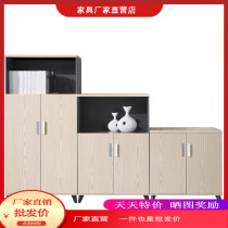 Office Combo Cabinet Minima Modern Locker Information Cabinet General Office Cabinet Fashion Containing Cabinet Short Cabinet
