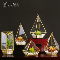 Nordic simple living room succulent plant glass cover ornaments creative personality home porch room decoration decoration