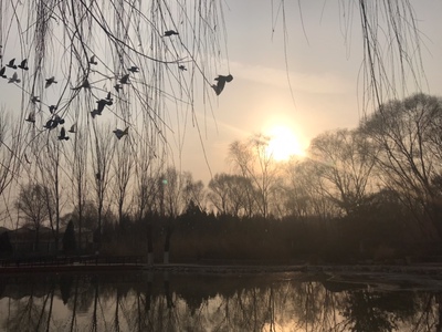 因为本仙女很懒，不想每一件商品都一样一样地去写好评，所以特意写了这样一个评论。但是这件商品无论是质量、材质还是款式，肯定都是本仙女所中意的，如果本仙女不喜欢的话，本仙女收到货肯定是会很生气的，很气很气的那种哦。不然这个评论肯定会变成那种喋喋不休，怨气横生，怨天怨地的那种。最后当然不可能忘了给这件商品一个好评，给各位爱淘宝的宝宝们一个购物参考，这个产品还是非常值得购买的！ 祝看到这条评论的各位小仙女们永远年轻漂亮美丽大方，永远都是16岁