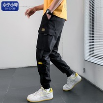 Brother Muzi 2021 new casual pants mens loose sports Hong Kong style Harlan pants nine-point bundle foot overalls