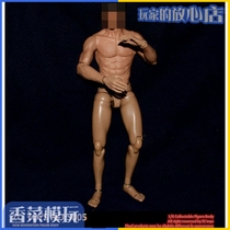 zctoys s005 1 6 Semi-packed muscle body suitable for Asian Li Xiaolong narrow shoulder body spot