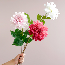 ladylike Dahlia simulation flower ornaments fake flower silk flower living room decoration vase Nordic coffee table decorative flower