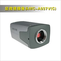 Phoenix Microscope Camera Electronic Eyepiece MC-A037V (C) Video Signal pick up TV CCD camera