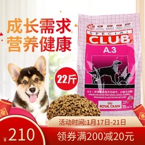Royal dog food A3 puppy food 11kg large medium and small teddy golden retriever milk cake nursing pregnant dog 22kg full price