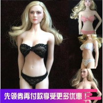 1 6 female soldiers Reece lingerie underwear suit multiple colors suitable for PH Lan steel bony coated gluon body spot