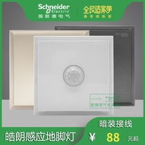 Schneider Hao Lang Foundation Lamp LED Small Night Light Embedded Infrared Human Sensing Concealed Wall Foot Lamp 86 Type