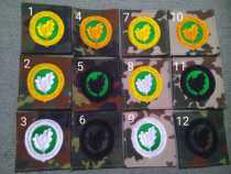 German Despot Camouflate Skills Chapter Qualification Chapters Biloba Leaf Qualification