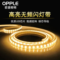 OP LED light belt new SMD light bar lamp high bright living room ceiling counter colorful neon waterproof