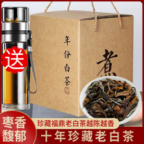 Fuding Laobai Tea 10 Years Old Shoumei Bulk Old White Tea Gongmei White Peony Jujube Fragrant 500g gift box