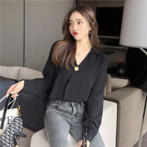 2020 Autumn New Han fan fashion long sleeve chiffon top female Korean temperament chiffon shirt V collar shirt trend