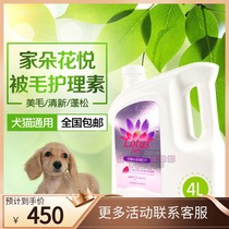 Home blossom flower Yue fluffy shape by hair care vegetarian dog cat universal cat