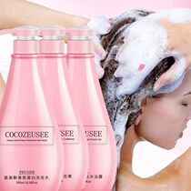 Ccccc00 perfume shampoo lasting fragrance and anti-itching oil control for men and women hair conditioner shower gel set