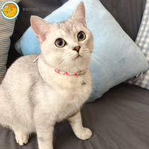 Touchcat its cat item ring retro kitty puppy neck collar japan and wind family cat necklace young cat neck ring