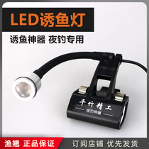 Thousand bamboo raft fishing light belt with warm yellow light to lure fish according to rod tip raft fishing night fishing light cutting fishing rod light light pole light light