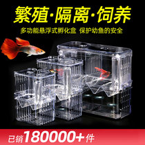 Fish Tank Isolation Box Peacock Breeding Box Divine Artifact Hatchery Box Little Fish Acrylic Floating Little Fish