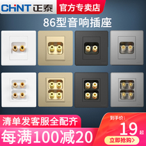 Chint one multimedia audio audio panel type 86 wall household concealed speaker wiring port power outlet