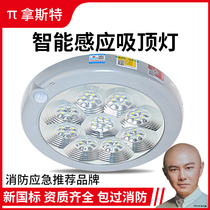 LED induction ceiling lamp Human body infrared intelligent home sound and light control lamp Stair aisle lamp Garage emergency light