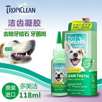 Duomejie gel pet dog teeth cleaning tartar cleaning teeth Teddy golden hair cleaning teeth to calculus condensation