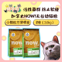 (Persimmon bacteria) Canada imported Now Fresh kitten fresh meat food Grain-free beauty hair stomach care small particles