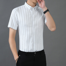 Summer mens shirt shirt short sleeve slim half sleeve vertical stripe ice stretch non-iron inch light luxury business Leisure