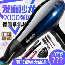 Electric hair dryer home high power hair salon Barber shop W blue light negative ion German movement