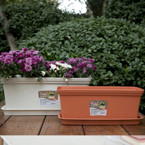 Dr. Flower pot Rectangular flower growing vegetable pot balcony gardening flowerpot PP resin plastic Japanese large long strip pot